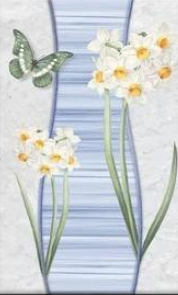 PLATINUM 25X40 BELVIA BLUE